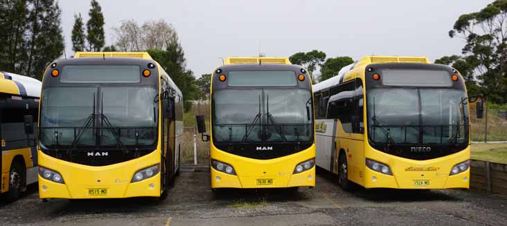 Shoal Bus MAN 19.320 Custom SB80 8515MO, 7630MO & Iveco Delta 1524MO